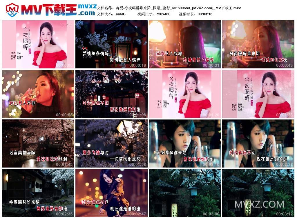 蒋婴-今夜喝醉谁来陪_国语_流行_ME600680